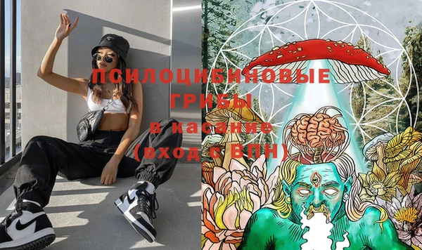 MDMA Дмитриев