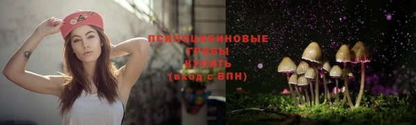 MDMA Дмитриев
