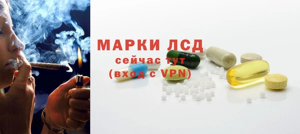 твердый Дмитров