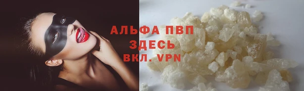 твердый Дмитров