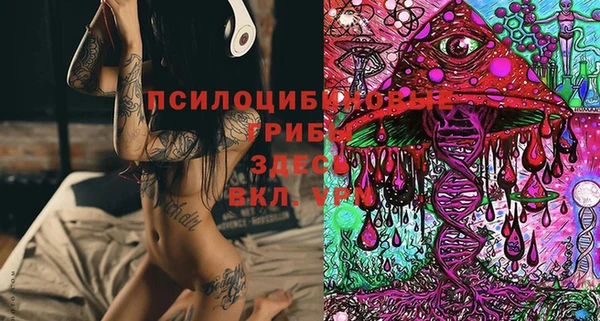 твердый Дмитров