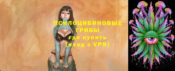твердый Дмитров