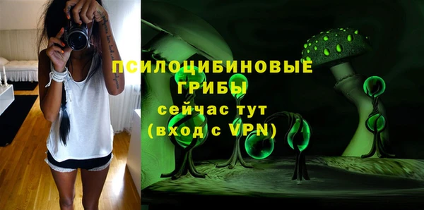 твердый Дмитров